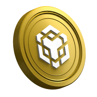 Nella pagina della guida per il trader principiante, la criptovaluta BNB